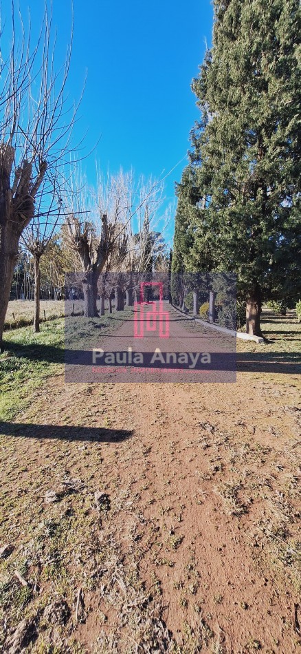 QUINTA EN VENTA